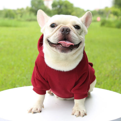 Fashion Dog Clothing Autumn And Winter Small Pet Clothes Thickening Warm Solid Color Two-Feet Hooded Wweater Casual Pet Products