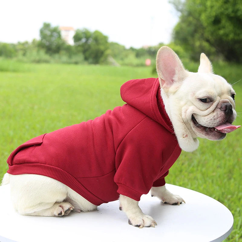 Fashion Dog Clothing Autumn And Winter Small Pet Clothes Thickening Warm Solid Color Two-Feet Hooded Wweater Casual Pet Products