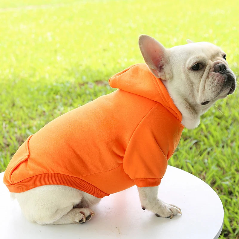 Fashion Dog Clothing Autumn And Winter Small Pet Clothes Thickening Warm Solid Color Two-Feet Hooded Wweater Casual Pet Products