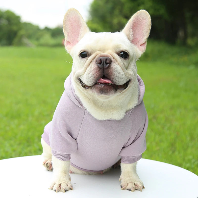 Fashion Dog Clothing Autumn And Winter Small Pet Clothes Thickening Warm Solid Color Two-Feet Hooded Wweater Casual Pet Products